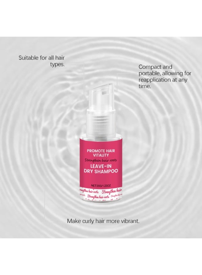 Vitality No-Shampoo Dry Shampoo - Restores Volum and Smoothness in 5 Seconds, Keeps Hair Fresh All Day (35g) - Image 2
